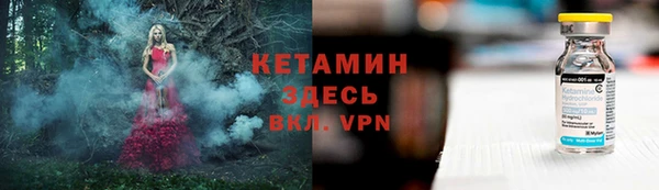 трава Абаза