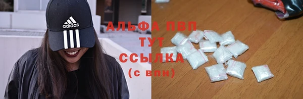 трава Абаза