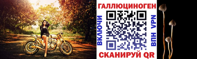Галлюциногенные грибы Cubensis Черемхово